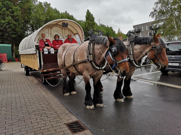 Huifkartocht